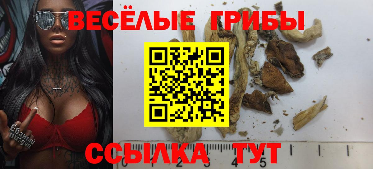 Псилоцибиновые грибы прущие грибы  Псилоцибиновые грибы мухоморы  Междуреченск  Вход с VPN 